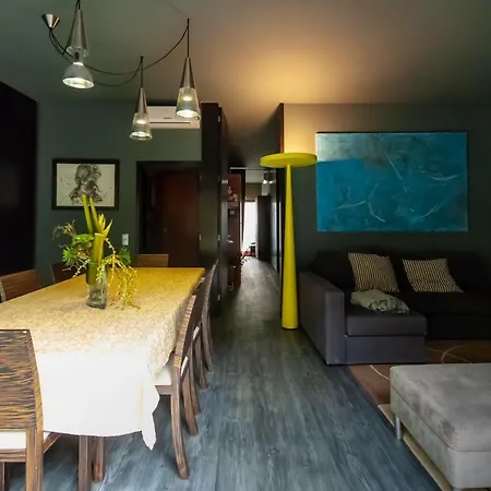 公寓 Estudio 428 埃斯平霍